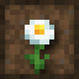 Anthesis 16x